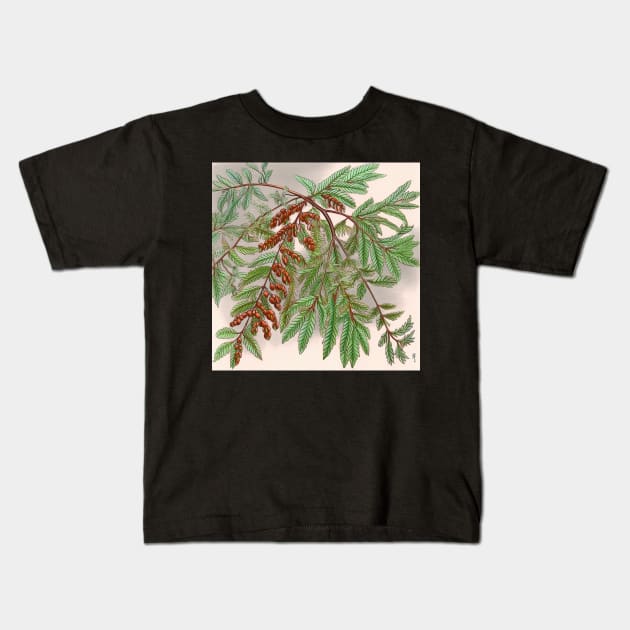 Dawn redwood drawing Kids T-Shirt by ComicsFactory